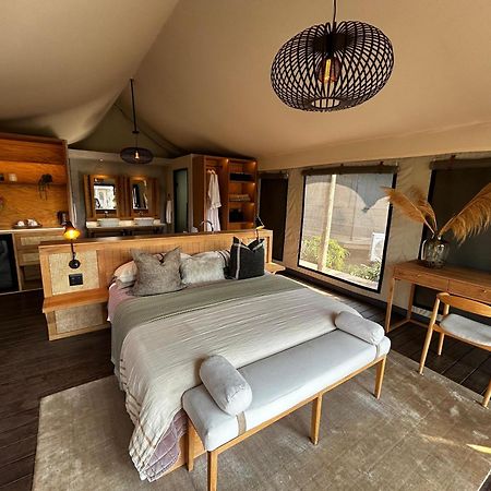 Addo Elephant Safari Lodge - Bellevue Forest Reserve Paterson 외부 사진