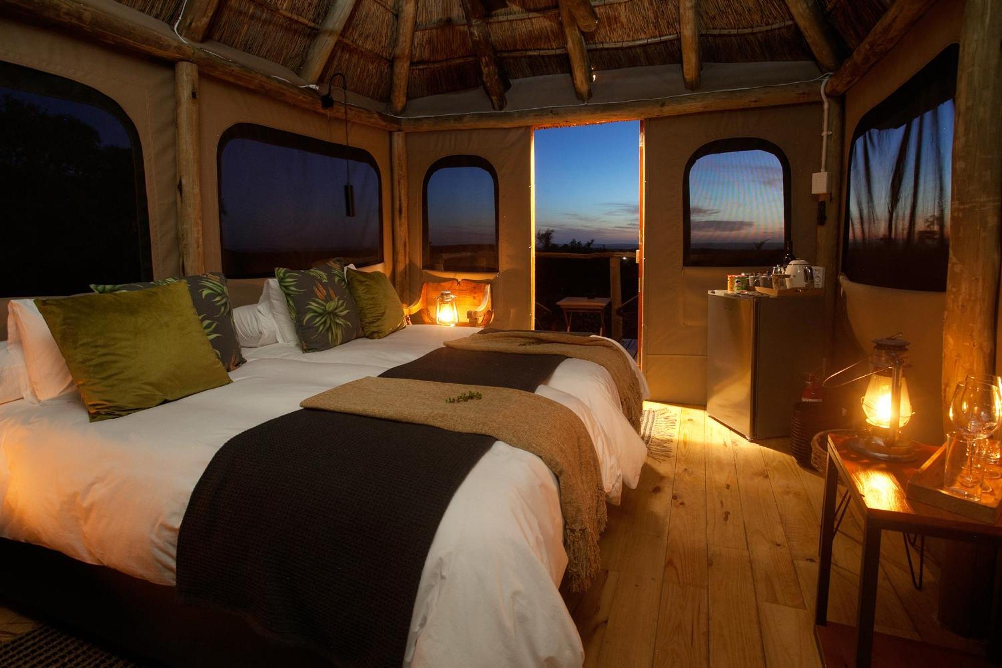 Addo Elephant Safari Lodge - Bellevue Forest Reserve Paterson 외부 사진