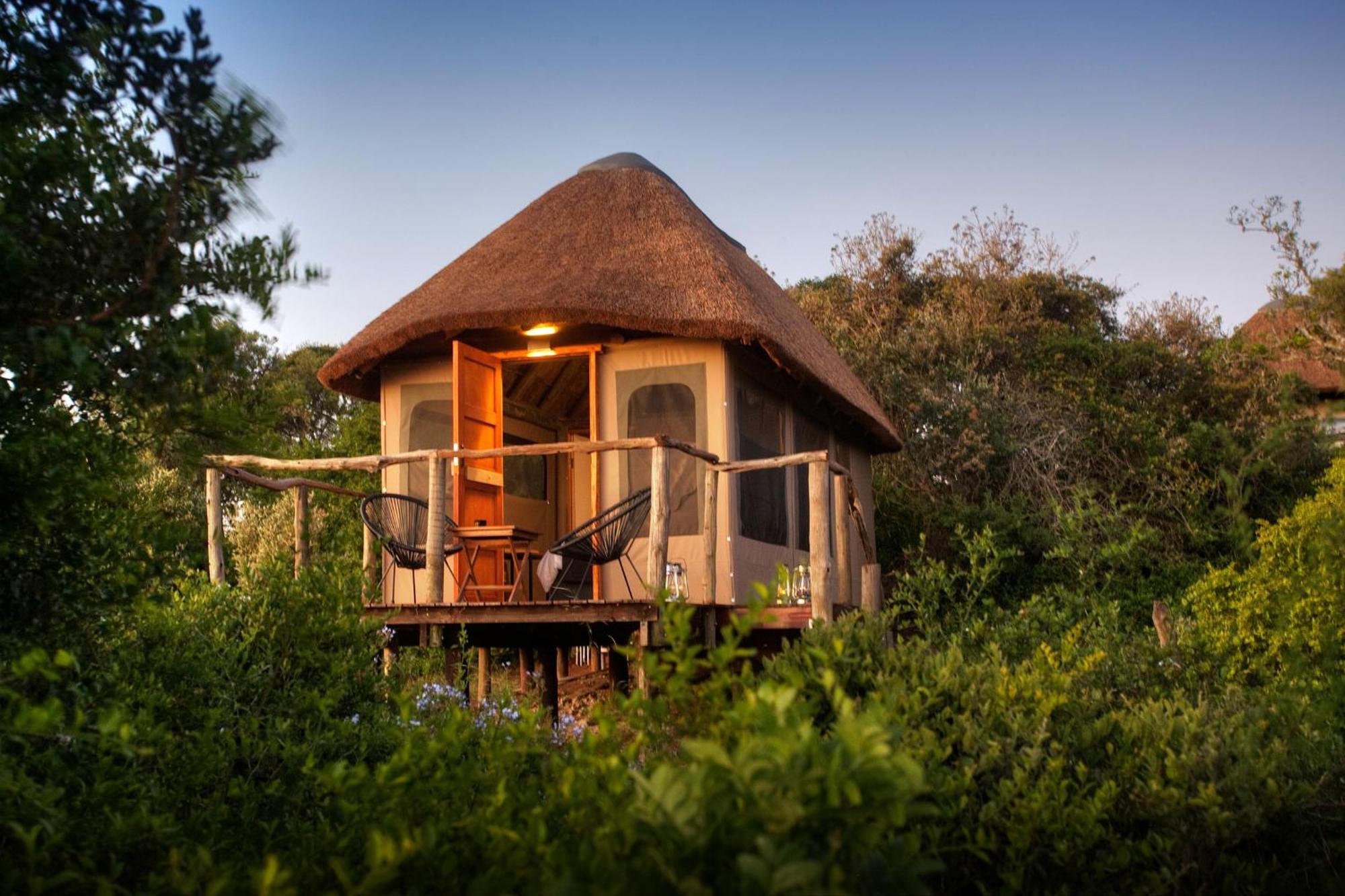 Addo Elephant Safari Lodge - Bellevue Forest Reserve Paterson 외부 사진
