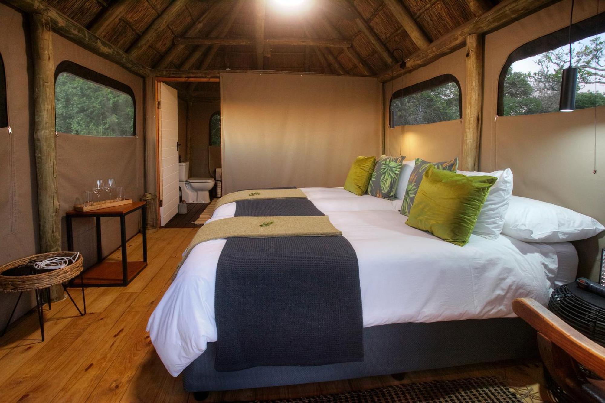 Addo Elephant Safari Lodge - Bellevue Forest Reserve Paterson 외부 사진