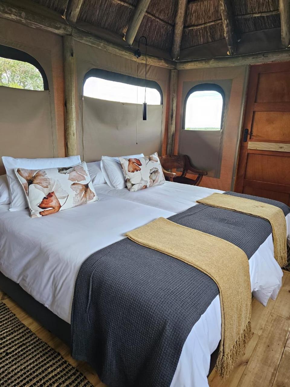 Addo Elephant Safari Lodge - Bellevue Forest Reserve Paterson 외부 사진