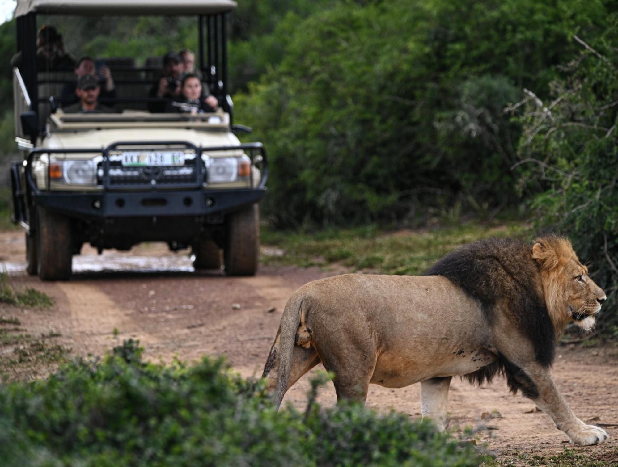 Addo Elephant Safari Lodge - Bellevue Forest Reserve Paterson 외부 사진