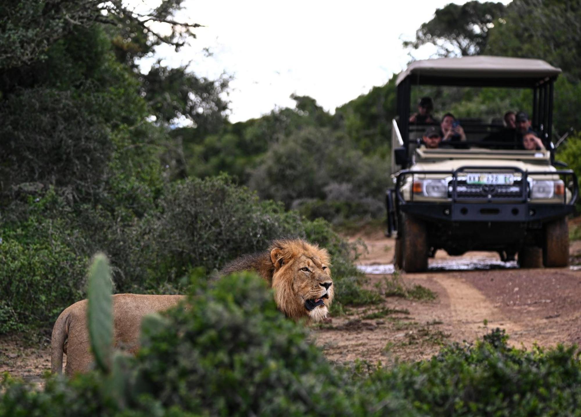 Addo Elephant Safari Lodge - Bellevue Forest Reserve Paterson 외부 사진