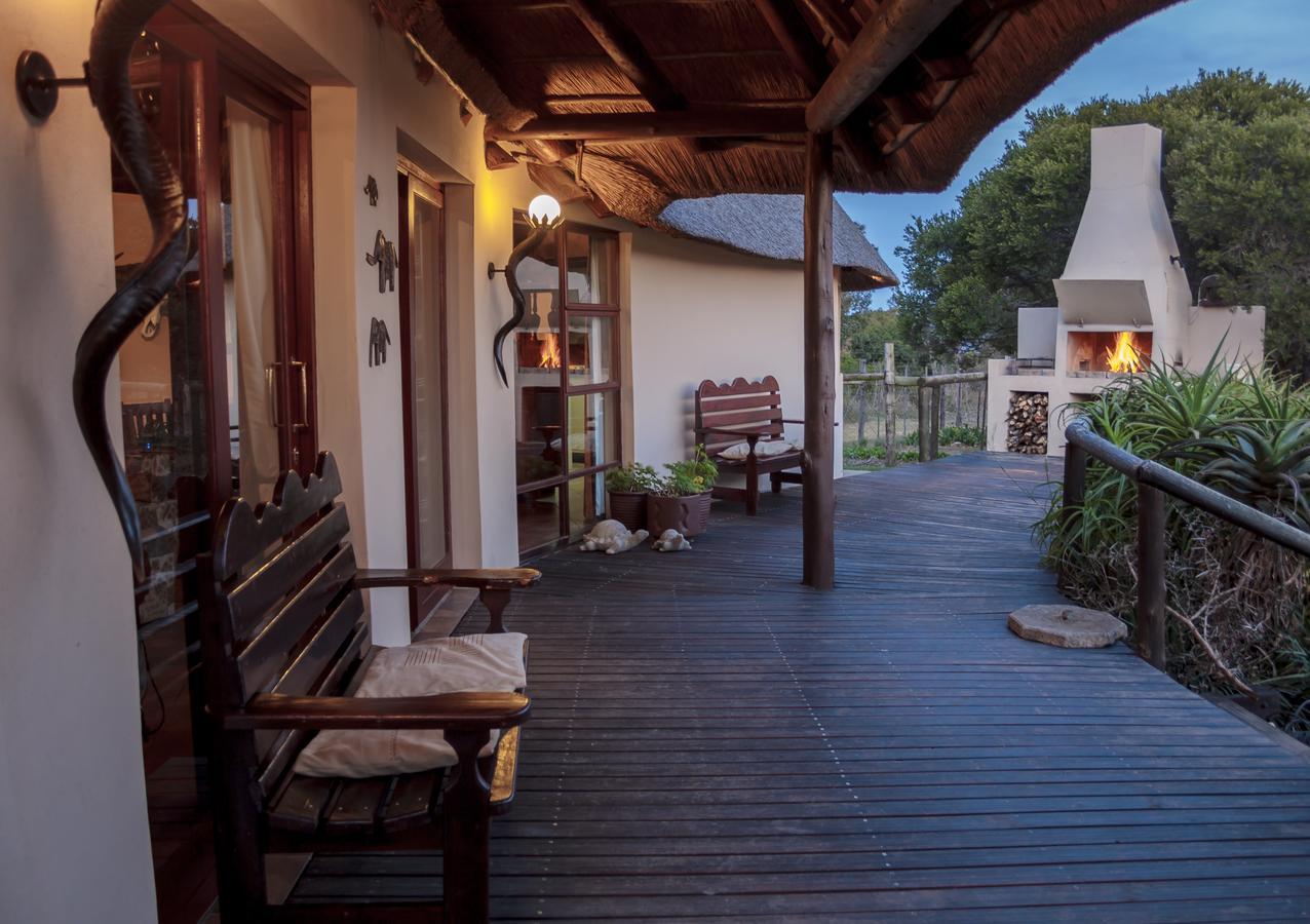 Addo Elephant Safari Lodge - Bellevue Forest Reserve Paterson 외부 사진