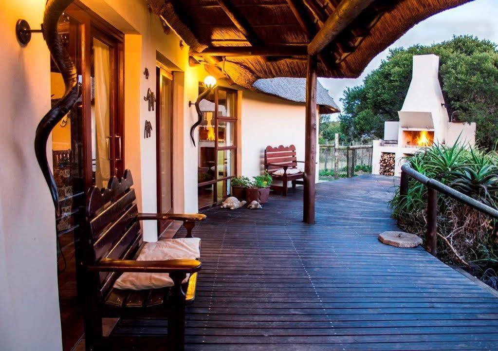 Addo Elephant Safari Lodge - Bellevue Forest Reserve Paterson 외부 사진