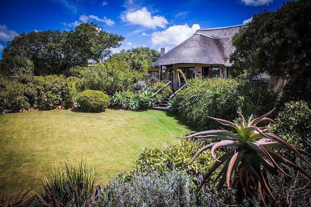 Addo Elephant Safari Lodge - Bellevue Forest Reserve Paterson 외부 사진