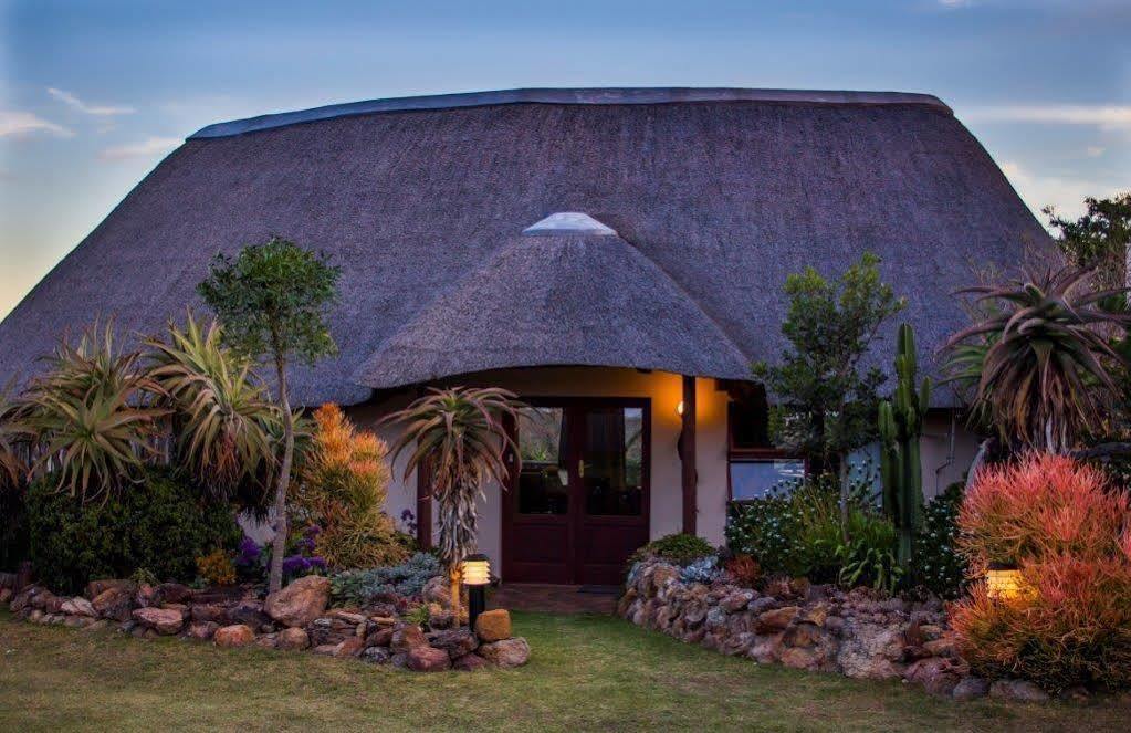 Addo Elephant Safari Lodge - Bellevue Forest Reserve Paterson 외부 사진