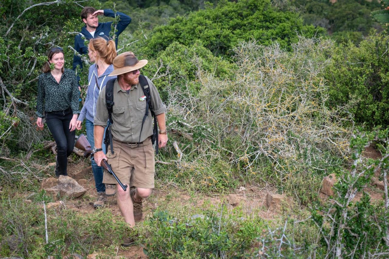 Addo Elephant Safari Lodge - Bellevue Forest Reserve Paterson 외부 사진