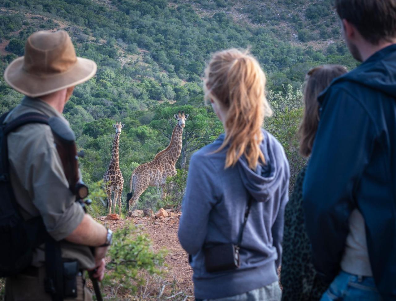 Addo Elephant Safari Lodge - Bellevue Forest Reserve Paterson 외부 사진