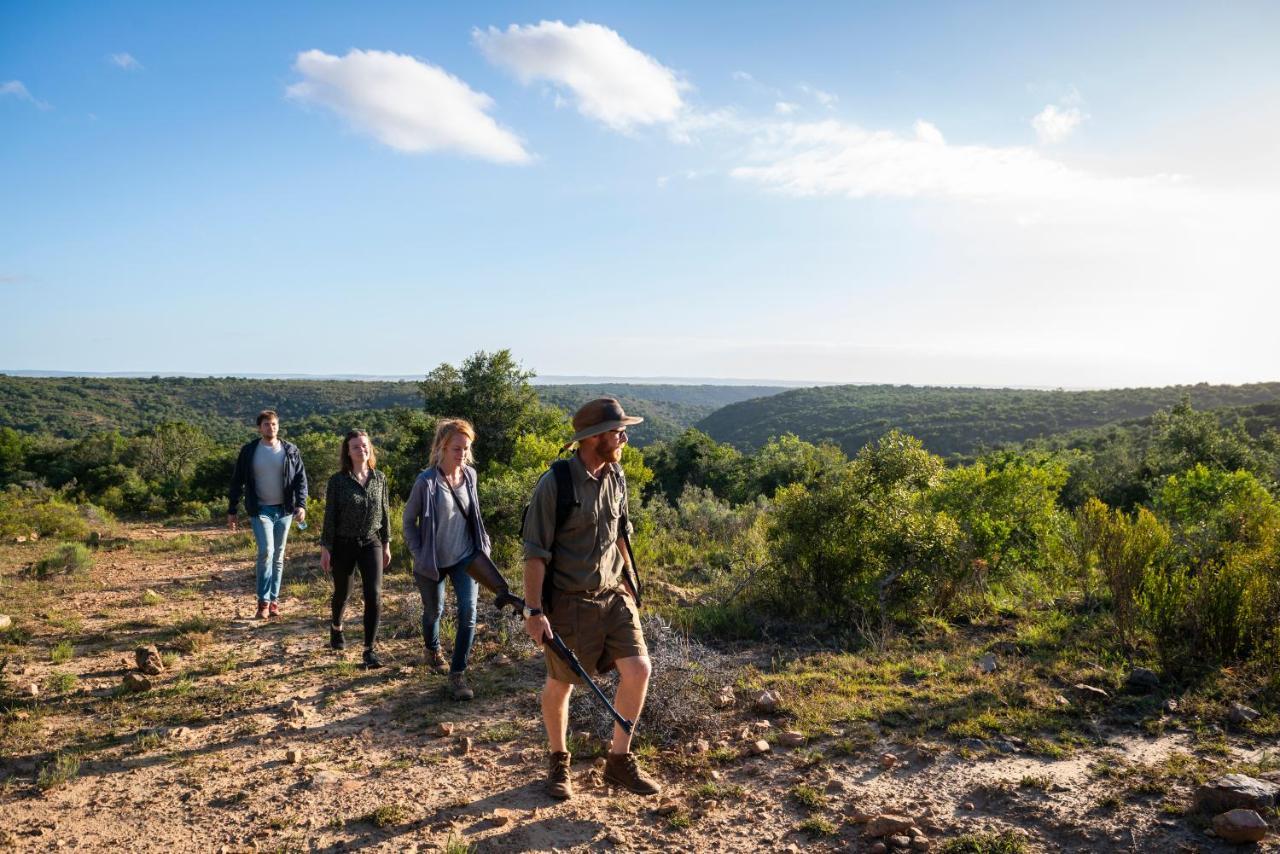 Addo Elephant Safari Lodge - Bellevue Forest Reserve Paterson 외부 사진
