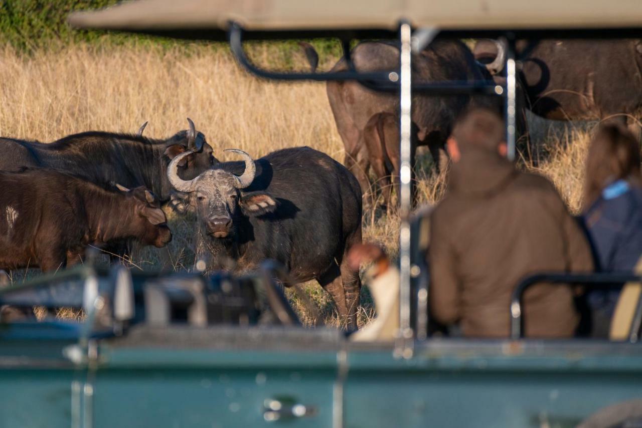 Addo Elephant Safari Lodge - Bellevue Forest Reserve Paterson 외부 사진