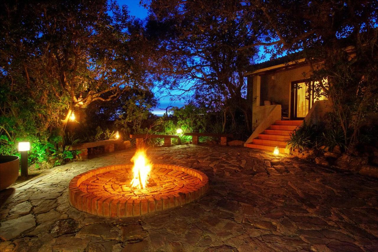 Addo Elephant Safari Lodge - Bellevue Forest Reserve Paterson 외부 사진