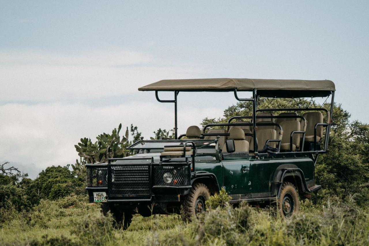 Addo Elephant Safari Lodge - Bellevue Forest Reserve Paterson 외부 사진